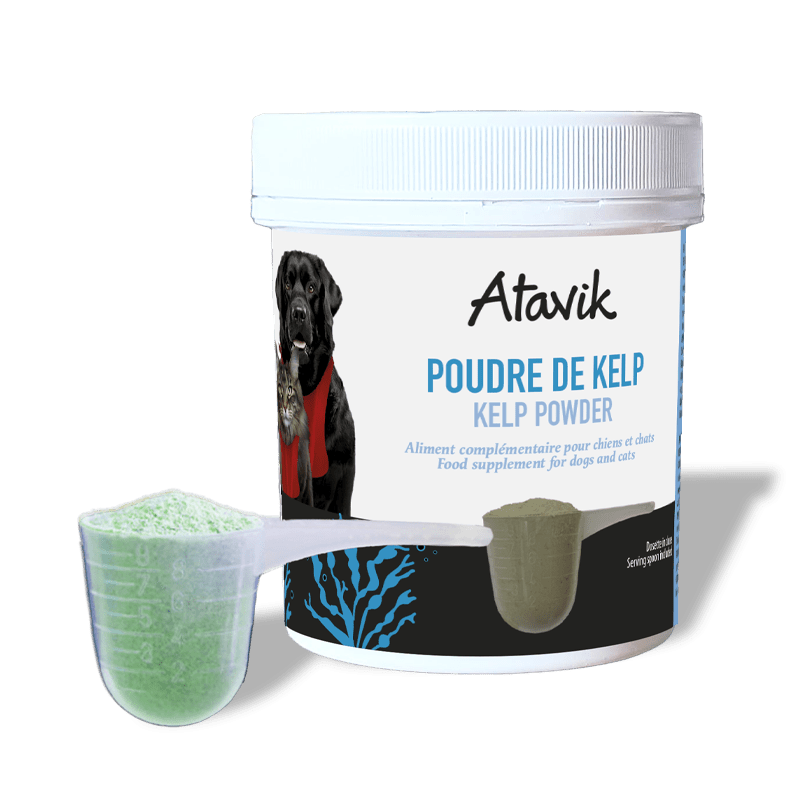 poudre de kelp pour chien et chat – Atavik – DOG DéliCAT