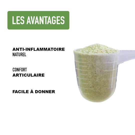 Poudre de Moule Verte – Mobilité & Vitalité naturelle - ATAVIK - DOG DéliCAT