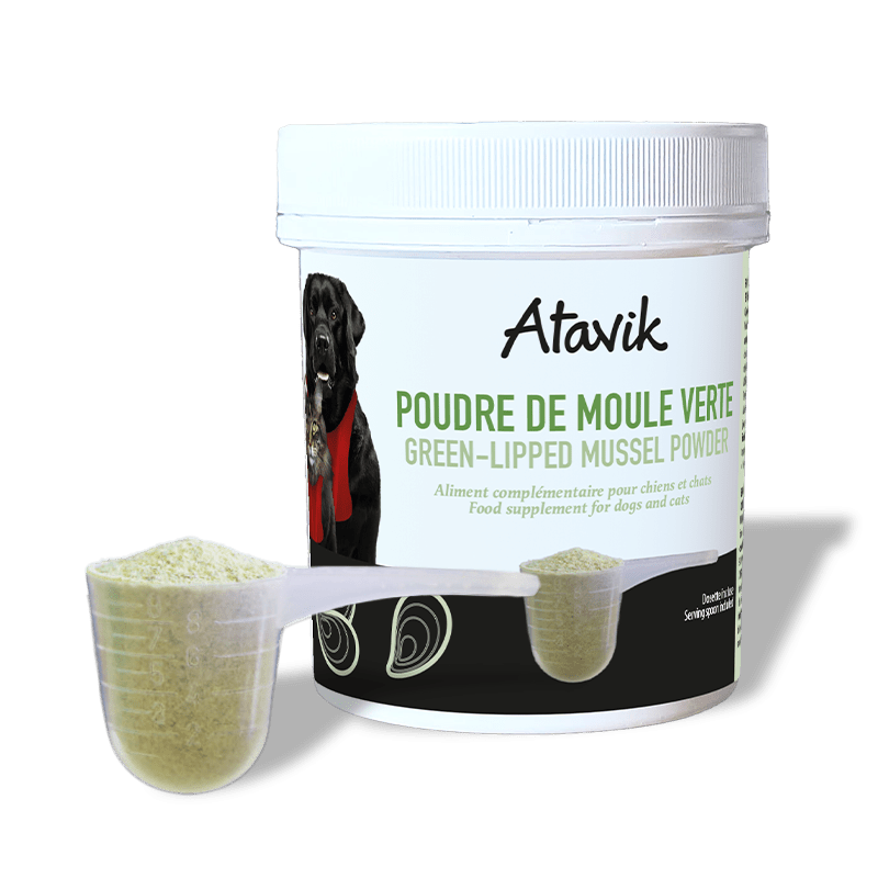 Poudre de Moule Verte – Mobilité & Vitalité naturelle - ATAVIK - DOG DéliCAT