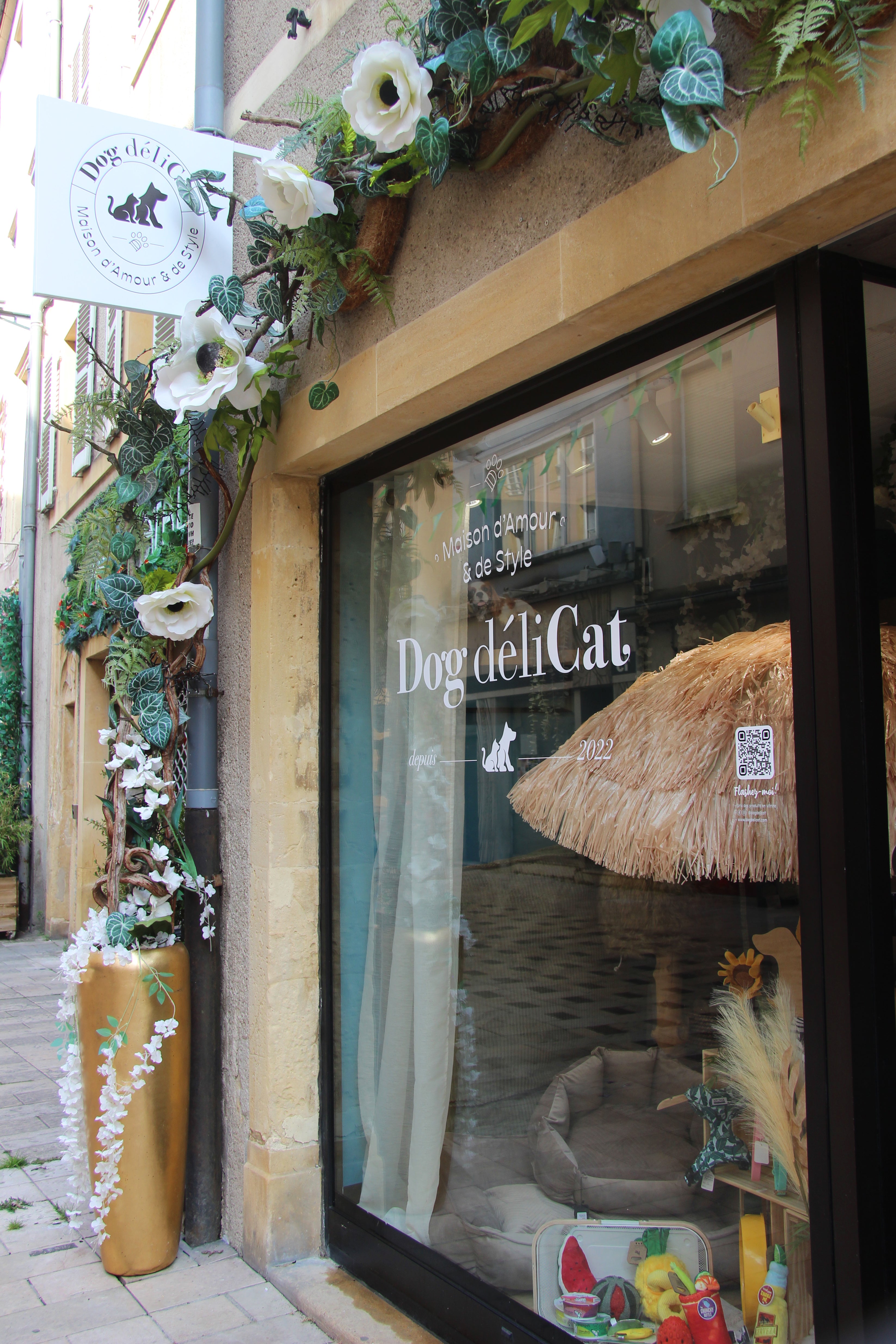 Présentation DOG DéliCAT