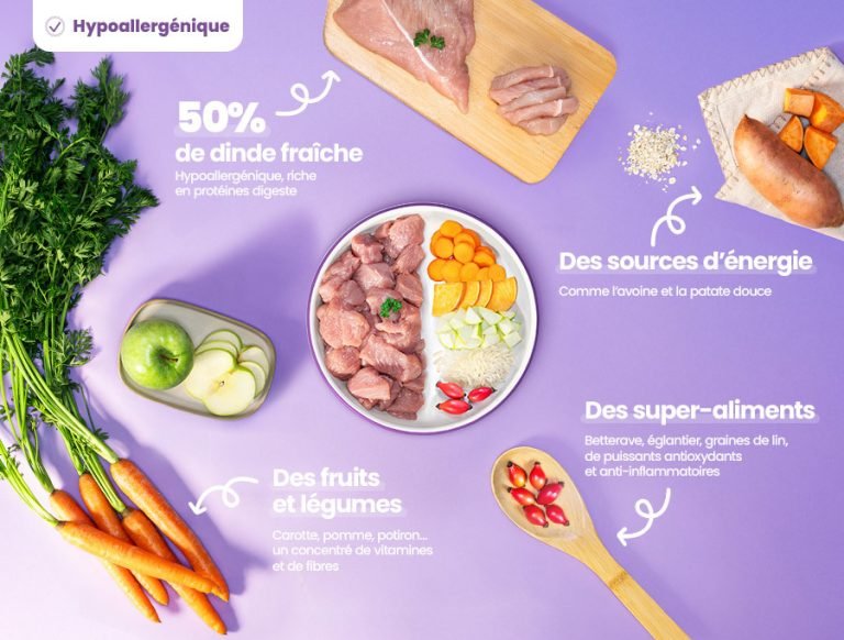 Recette Fraîche à la Dinde – Hypoallergénique & Festive DOG CHEF - DOG CHEF - DOG DéliCAT