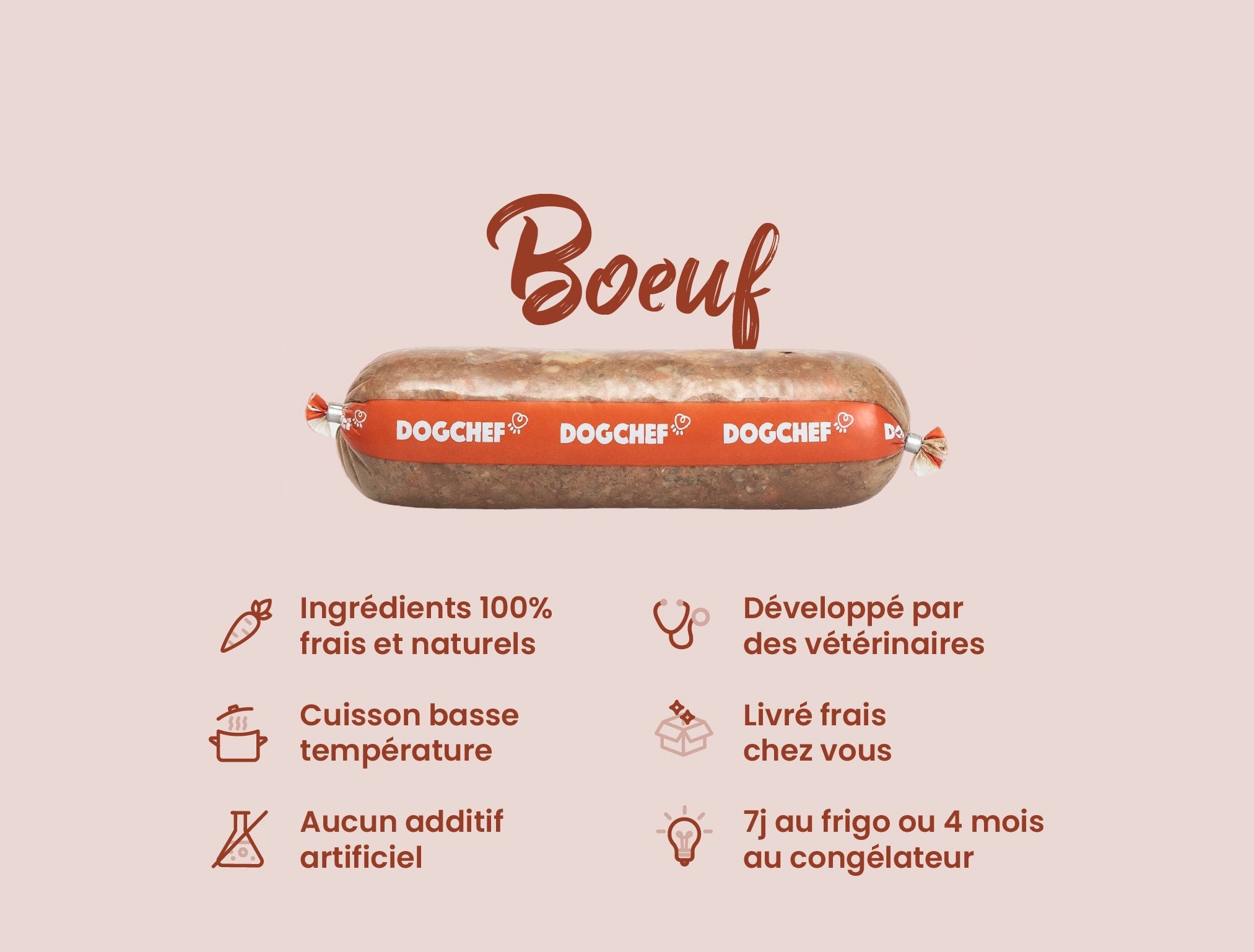 Recette Fraîche au Bœuf pour Chiens Exigeants - DOG CHEF - DOG CHEF - DOG DéliCAT