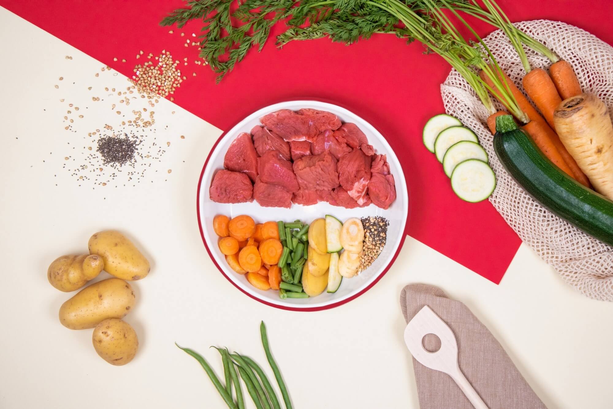 Recette Fraîche au Bœuf pour Chiens Exigeants - DOG CHEF - DOG CHEF - DOG DéliCAT