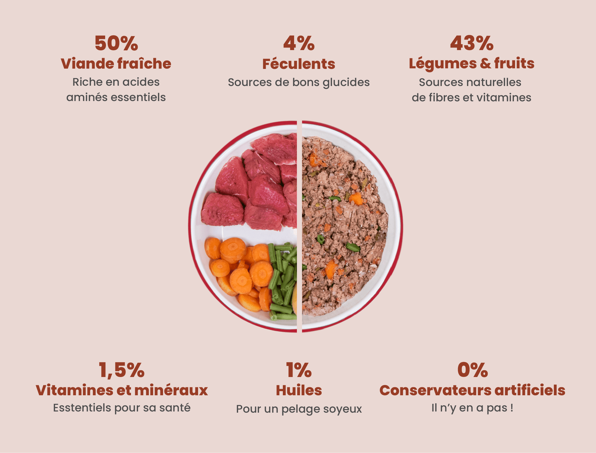 Recette Fraîche au Bœuf pour Chiens Exigeants - DOG CHEF - DOG CHEF - DOG DéliCAT