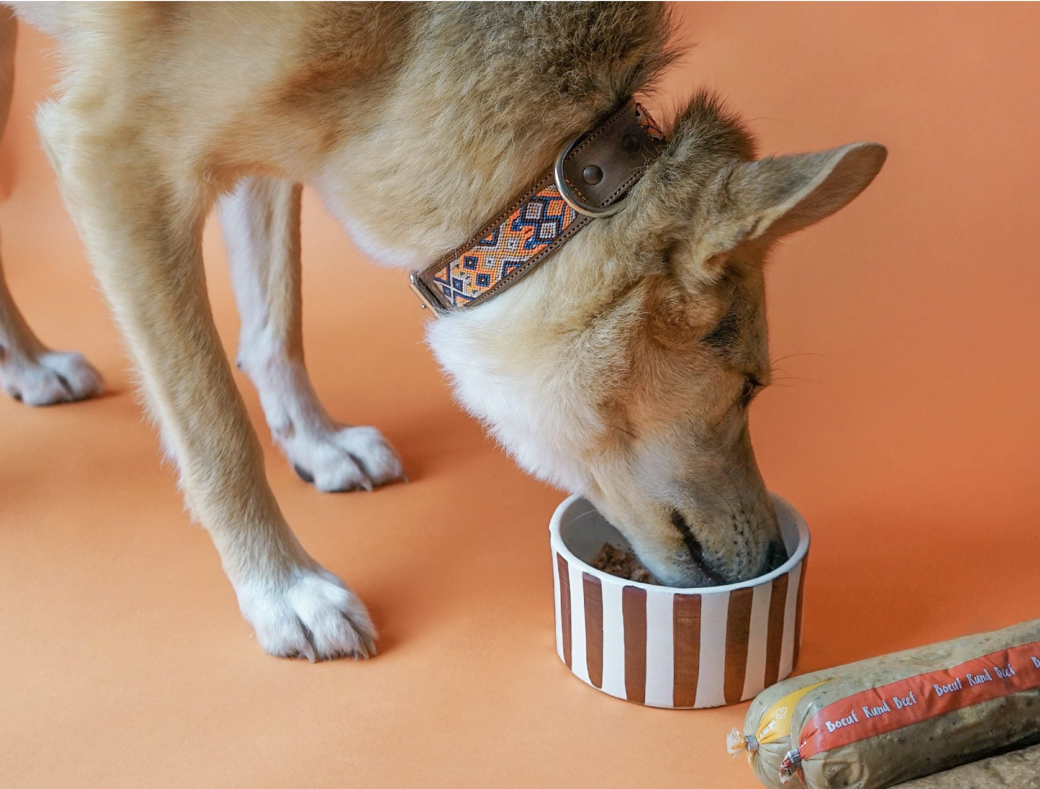 Recette Fraîche au Bœuf pour Chiens Exigeants - DOG CHEF - DOG CHEF - DOG DéliCAT