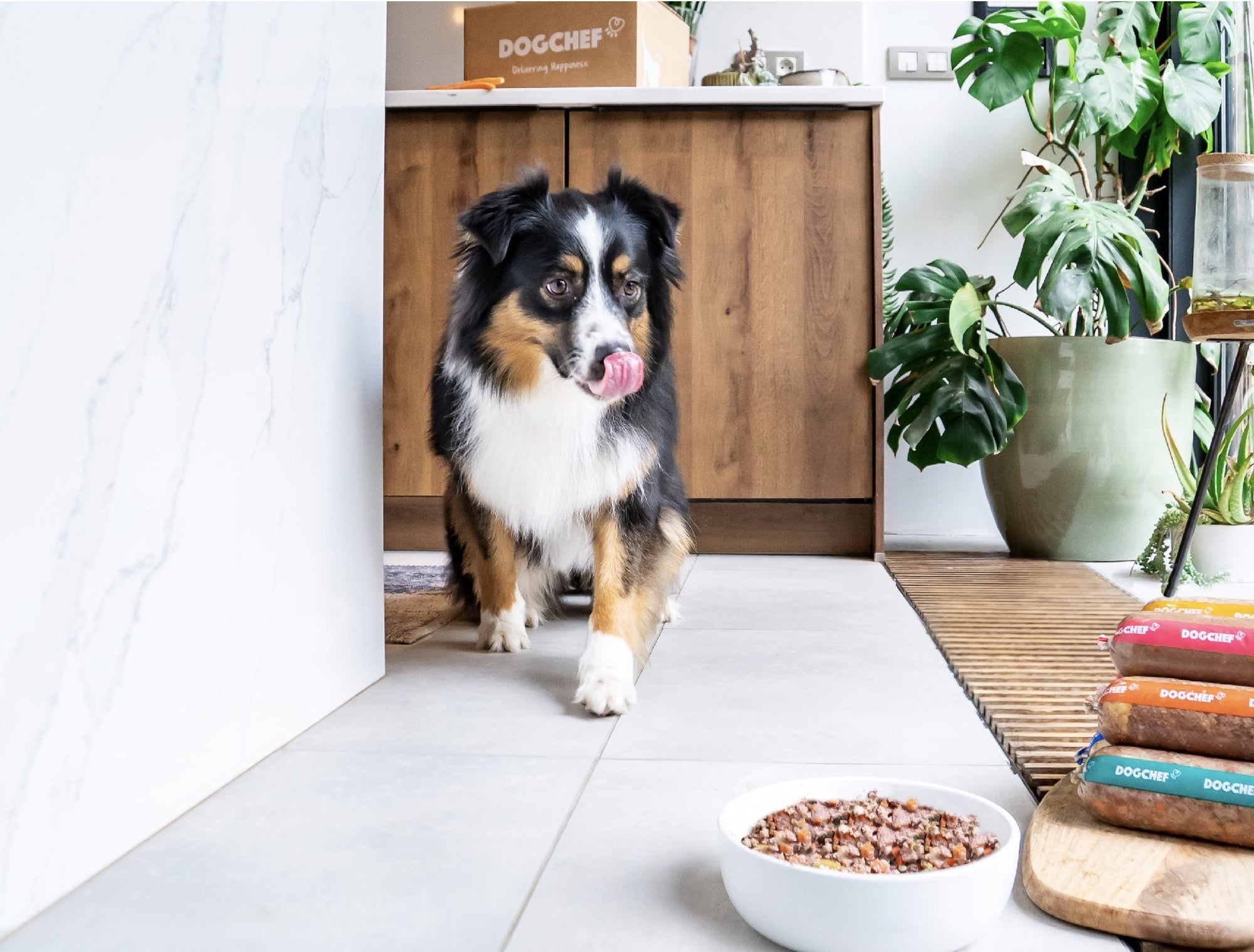 Recette Fraîche au Canard Hypoallergénique - DOG CHEF - DOG CHEF - DOG DéliCAT