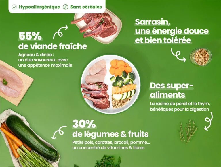 Repas frais pour chien à l'agneau et dinde 400 g DOG CHEF – DOG DéliCAT