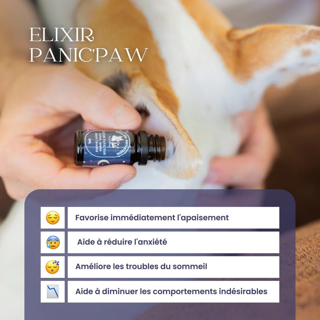 Roll - on anti - stress chien Panic'paw – apaisant bio 5 ml - DEXTER & MANGO - DOG DéliCAT