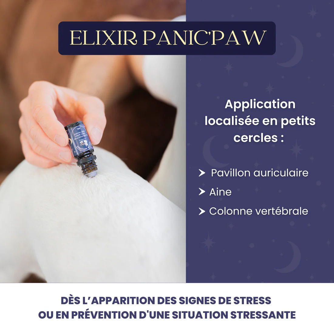 Roll - on anti - stress chien Panic'paw – apaisant bio 5 ml - DEXTER & MANGO - DOG DéliCAT