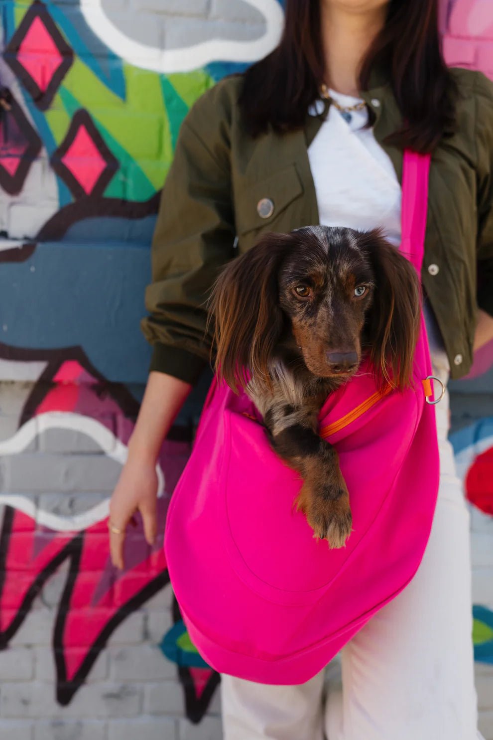 Sac de transport bandoulière pour chien Le Loop MOOF – MOOF – DOG DéliCAT