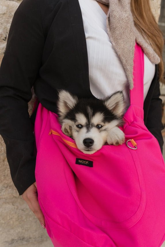Sac de transport bandoulière pour chien Le Loop MOOF – MOOF – DOG DéliCAT