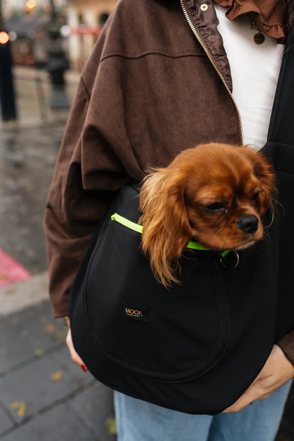 Sac de transport bandoulière pour chien Le Loop MOOF – MOOF – DOG DéliCAT