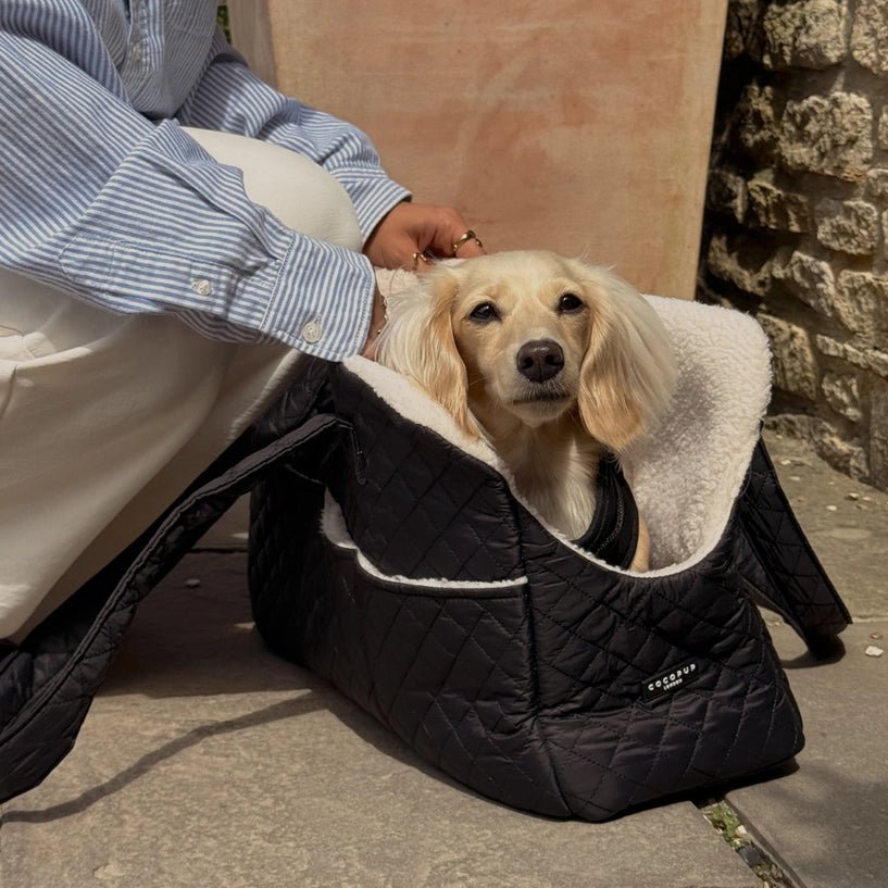 Sac de transport pour chien noir matelassé CocoPup London – CocoPup London – DOG DéliCAT