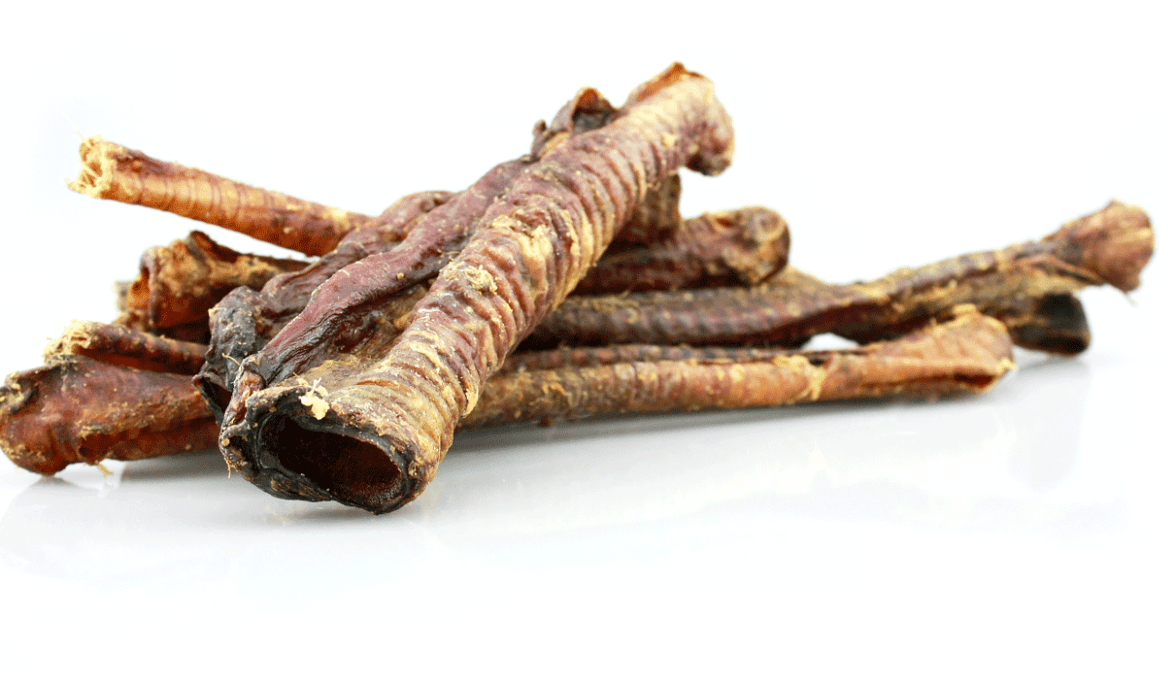 Sachet de Trachées d’agneau chien – Friandise naturelle riche en calcium (150g) - PETS BEST - DOG DéliCAT