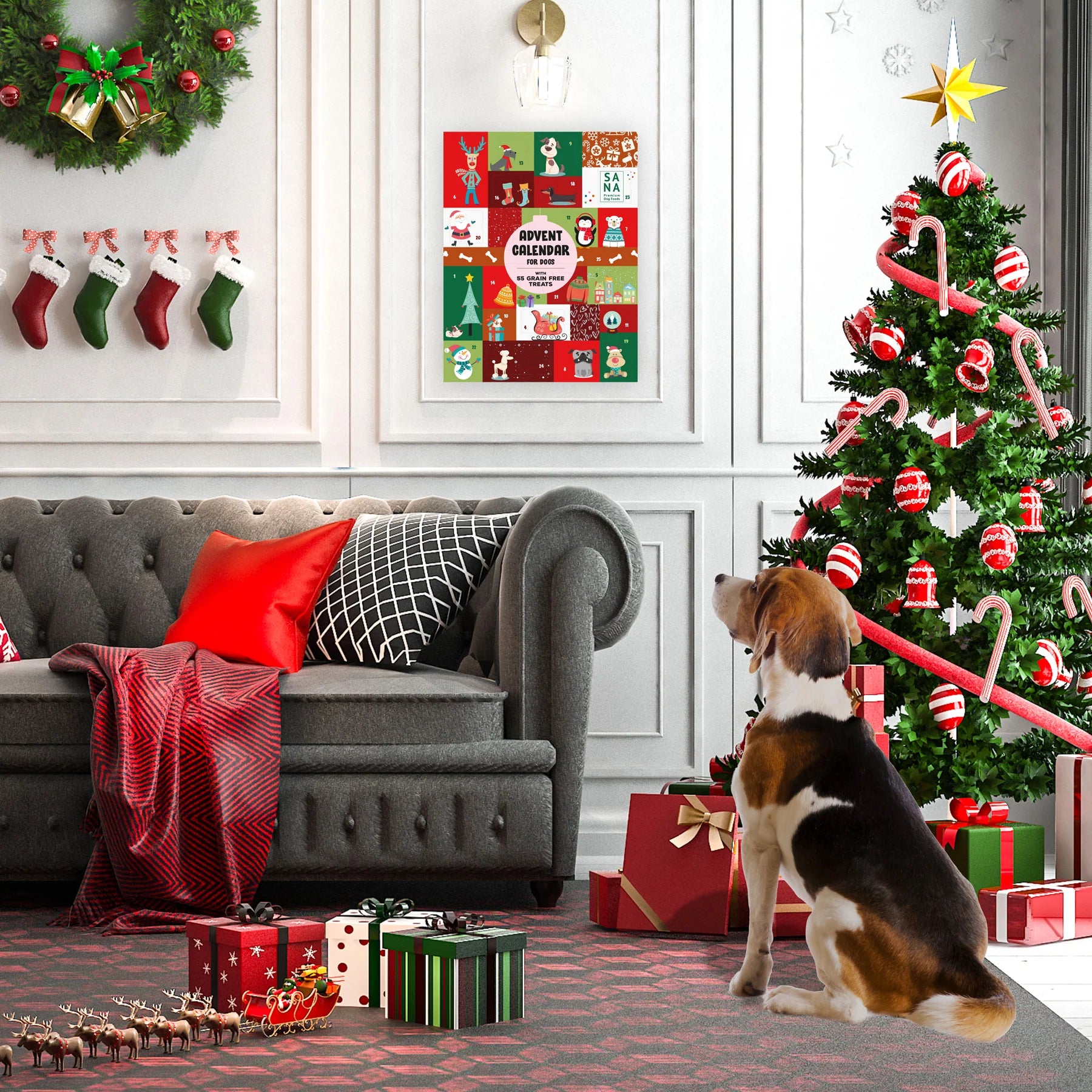 Calendrier de l'Avent XL SANADOG pour chiens, rempli de plus de 50 friandises naturelles.
