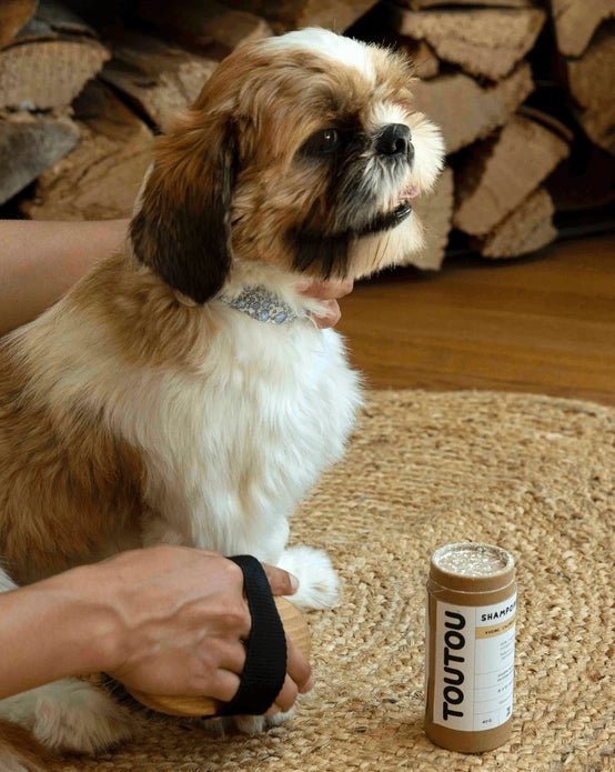 Shampoing Sec pour chien et chat certifié Bio - TOUTOU PETCARE - DOG DéliCAT