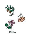 Shampoing Très Doux à l'Argile Rose - TOUTOU PETCARE - DOG DéliCAT