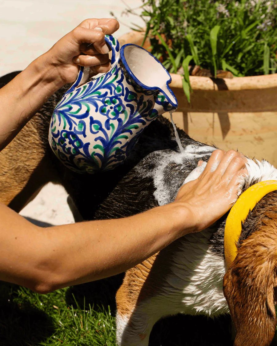 Shampoing Très Doux à l'Argile Rose - TOUTOU PETCARE - DOG DéliCAT