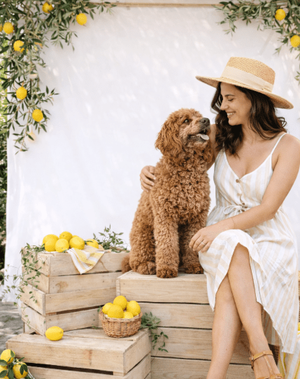 Shooting photo chien dolce vita fête des mères dog délicat – Amandine Dreher – DOG DéliCAT