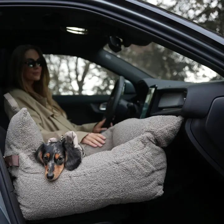 Siège auto pour chien Lara Teddy 2.0 Staey – Staey – DOG DéliCAT