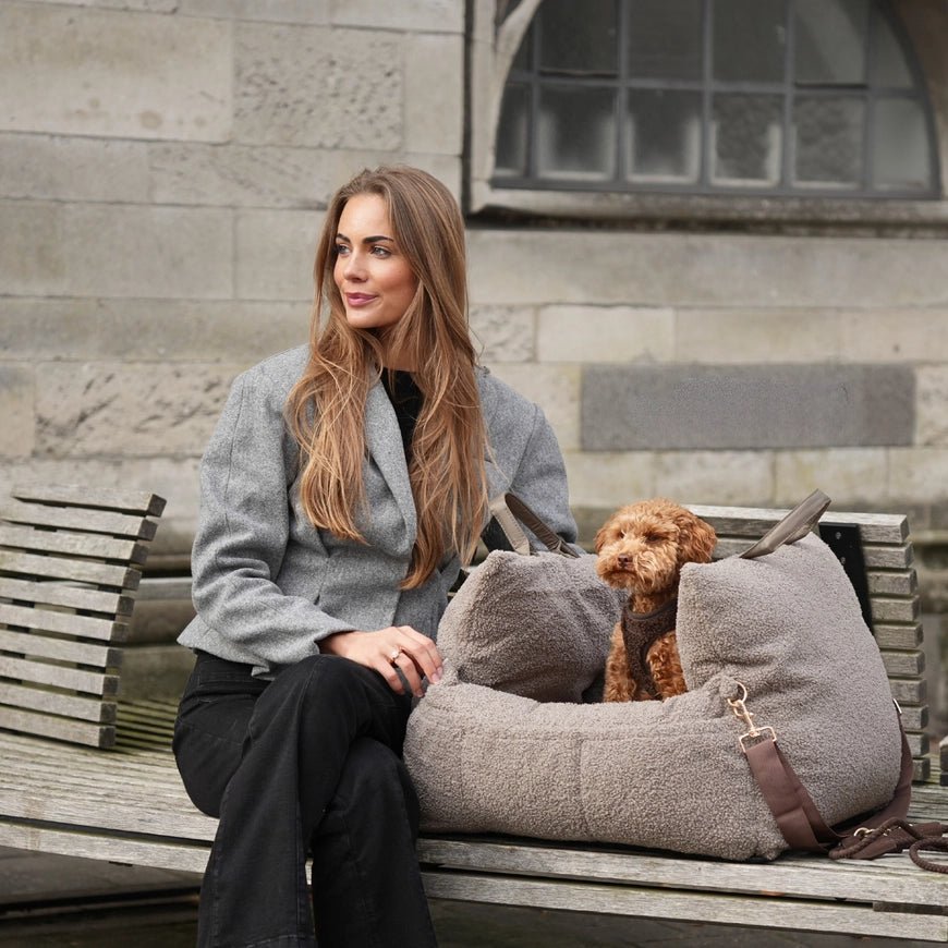 Siège auto pour chien Lara Teddy 2.0 Staey – Staey – DOG DéliCAT
