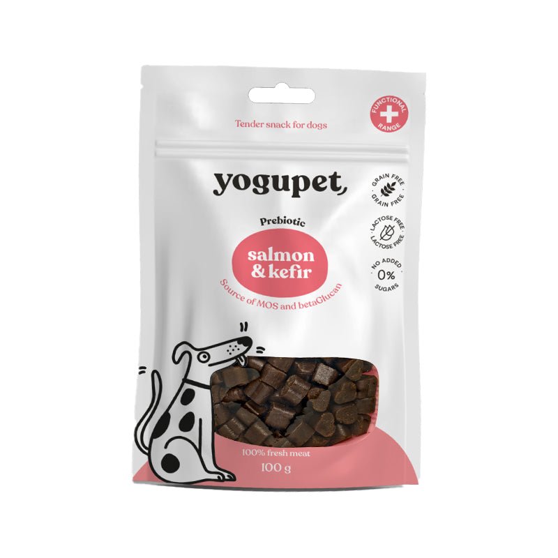Snack au saumon et kéfir pour chien Yogupet - 100g - YOGUPET - DOG DéliCAT