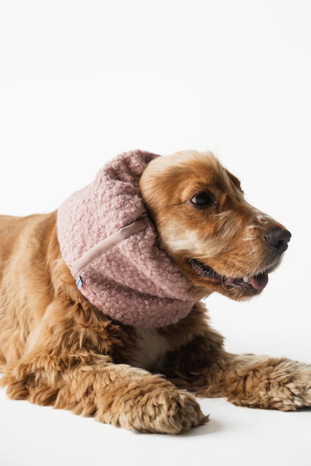 🌸 Snood d’hiver réversible rose pour chien – chaleur, douceur & style - Lou and co. - DOG DéliCAT