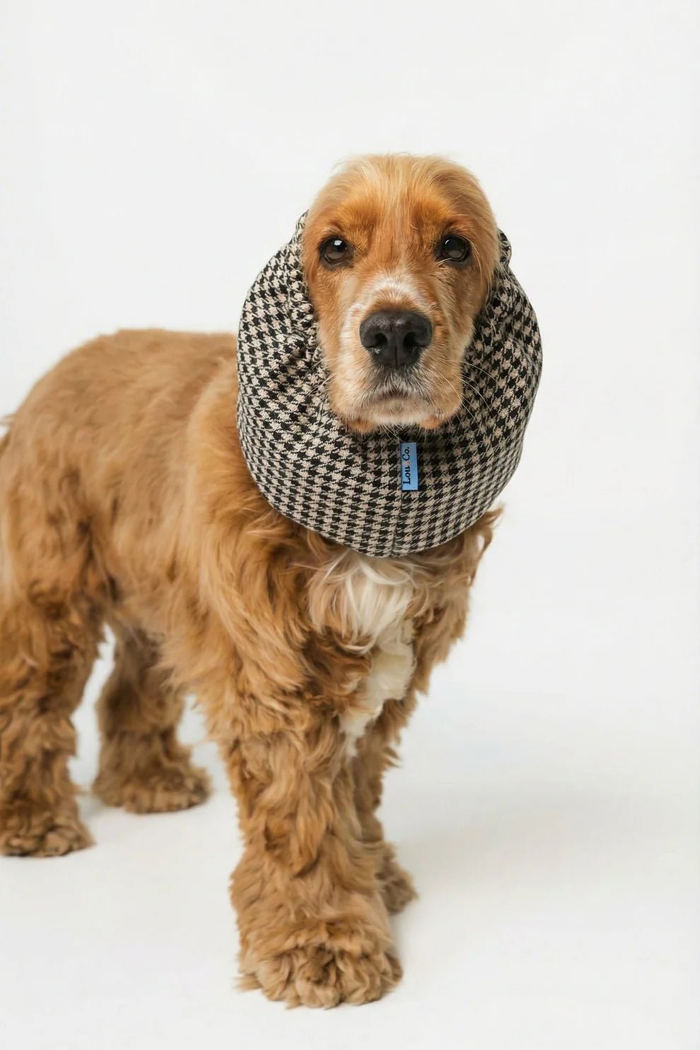 Snood en coton pour chien vichy Lou & Co DOG DÉLICAT