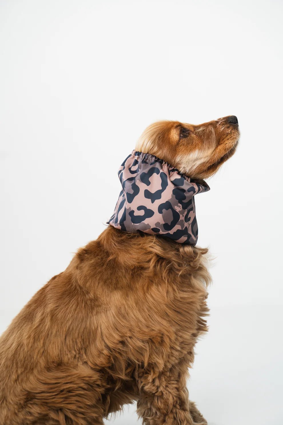 Snood imperméable pour chien – Animal Print & Oreilles au sec - Lou and co. - DOG DéliCAT