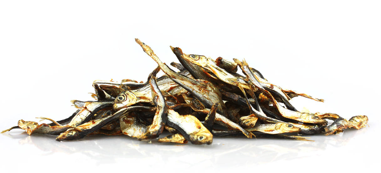 sprats séchés naturels pour chien et chat