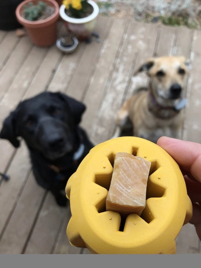 Support bâton de yak chien Gear eDispenser – SodaPup – DOG DéliCAT