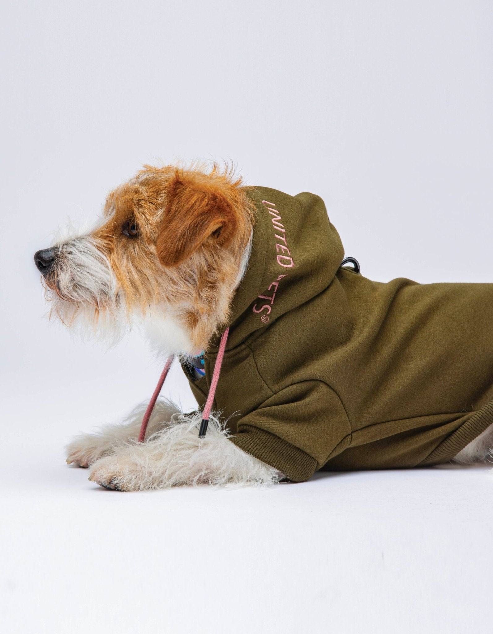 Sweat pour chien Bull – Hoodie doux et chaud pour chien stylé - UNITED PETS - DOG DéliCAT