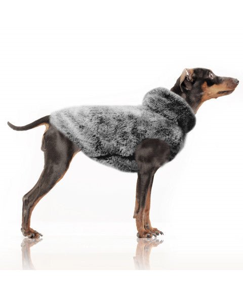 Sweat Fourrure ACHILLE pour Chien – Gris Anthracite - MILK&PEPPER - DOG DéliCAT