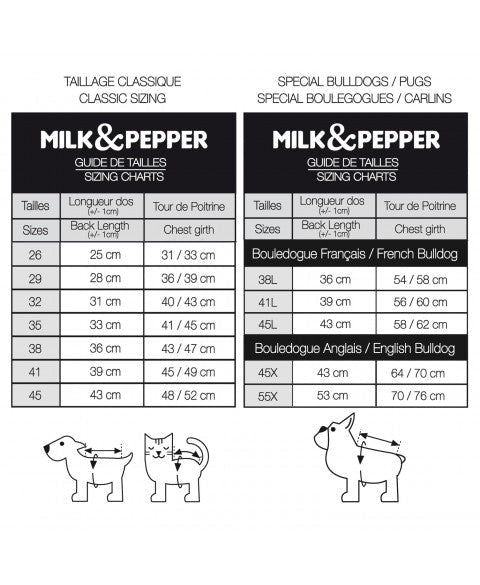 Sweat pour chien Telio Ancre Kaki - Look marin - MILK&PEPPER - DOG DéliCAT