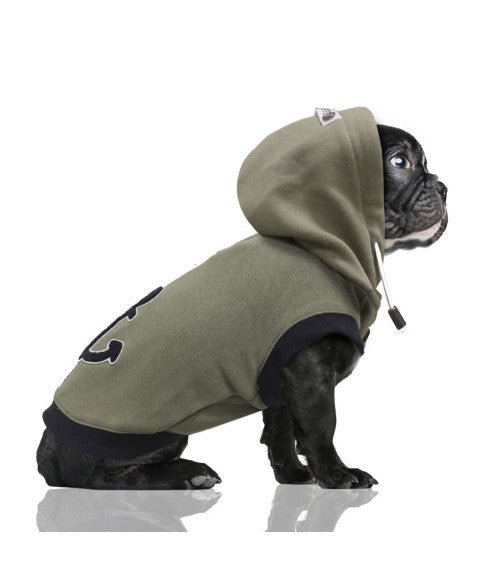 Sweat pour chien Telio Ancre Kaki - Look marin - MILK&PEPPER - DOG DéliCAT