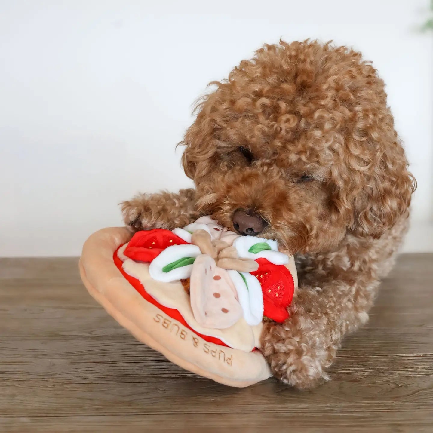 Jouet renifleur chien pizza cache friandises