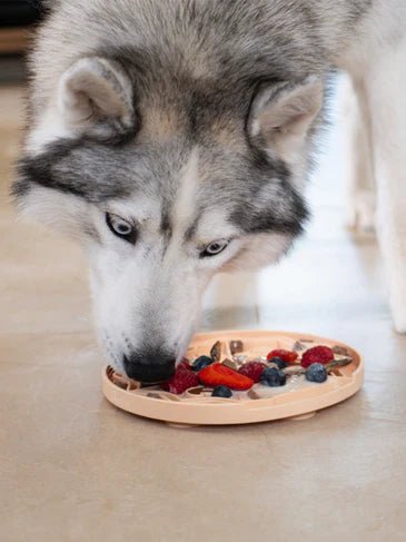Tapis de léchage Yoomy Pizza 🍕 - Occupe, apaise et stimule votre compagnon - INOOKO - DOG DéliCAT