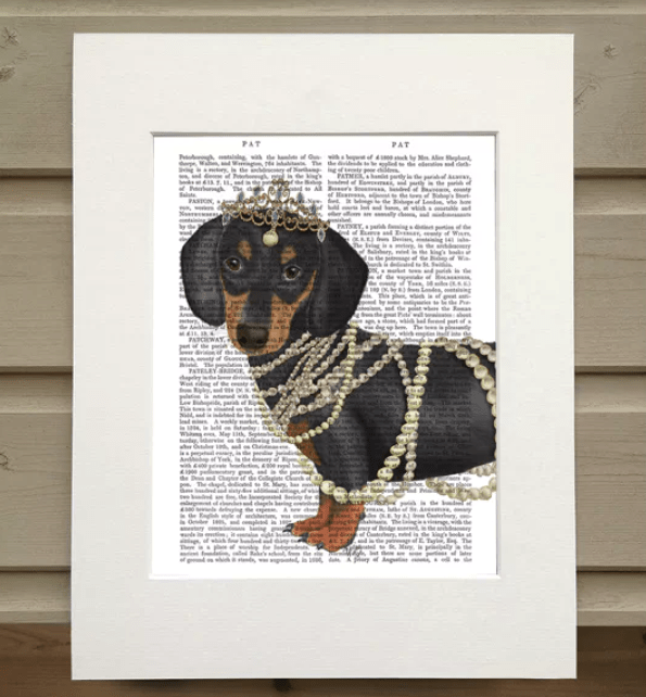 Teckel à bijoux - Illustration d'art pour décoration murale - FABFUNKY - DOG DéliCAT