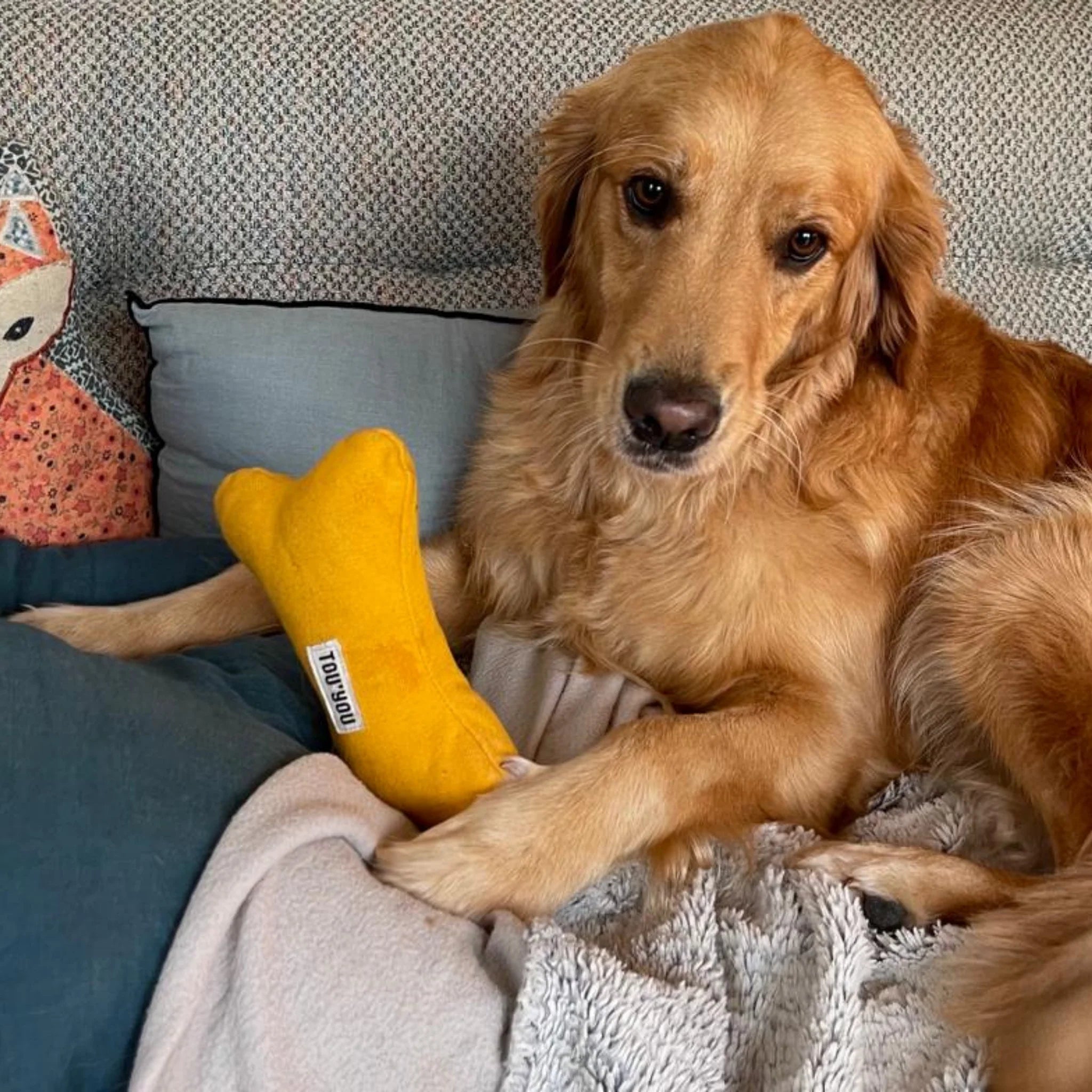 TOU'YOU - Jouet pour chien Nonos Jaune Curry