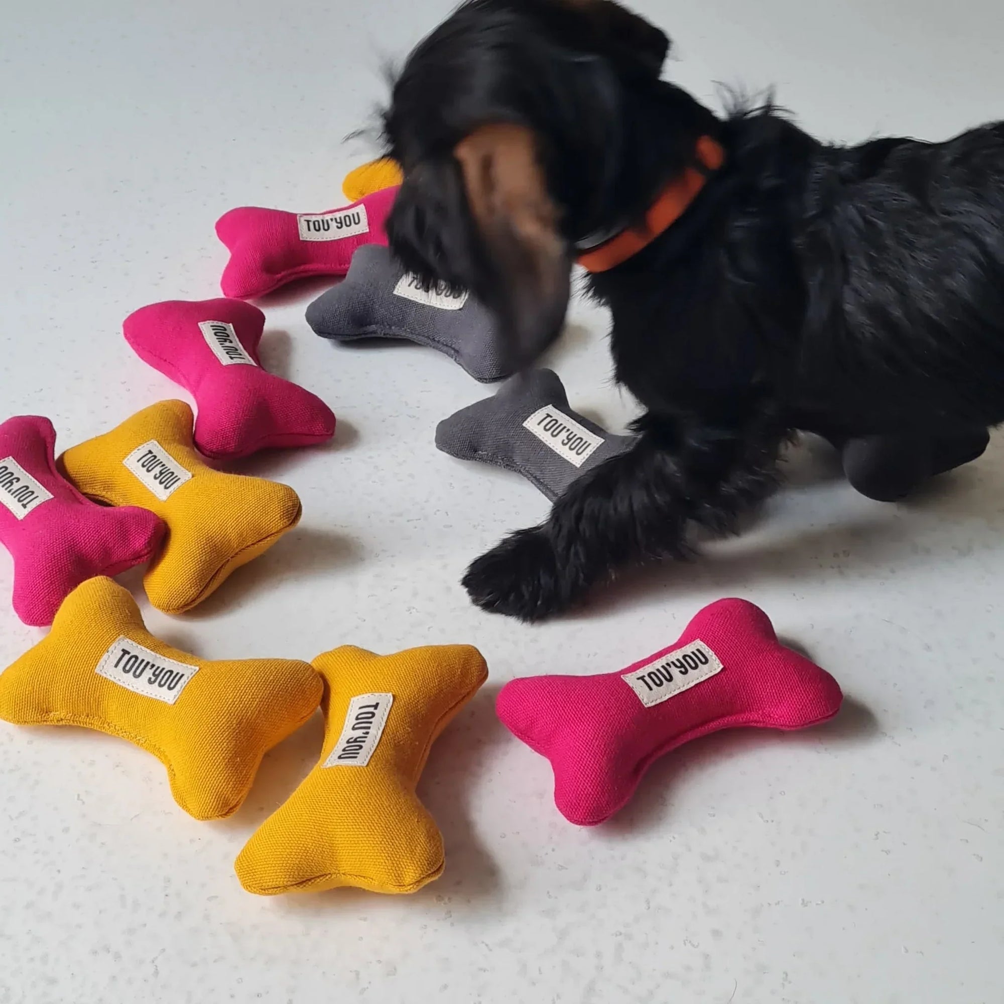 TOU'YOU - Jouet pour chien Nonos Jaune Curry