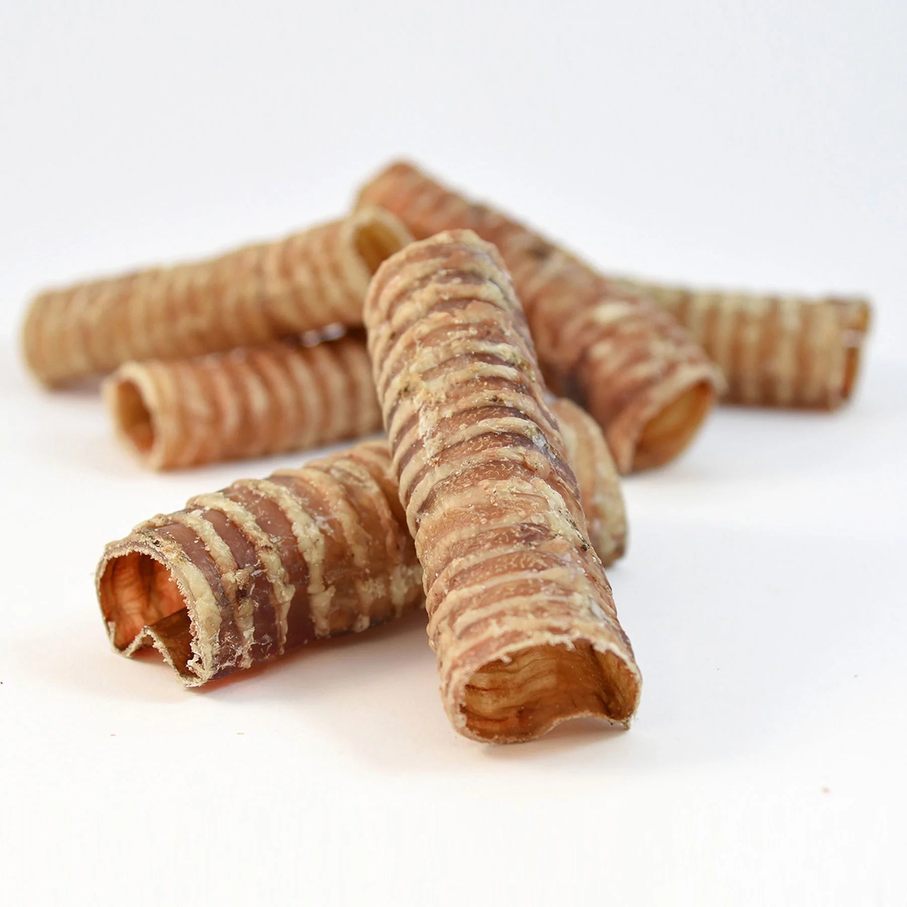 Trachée de bœuf séchée 100 % naturelle SANADOG – Mastication durable (1 pièce) - SANA - DOG DéliCAT