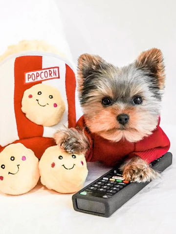 Image d'un chien avec le jouet de fouille en peluche Popcorn de Zippy Paws