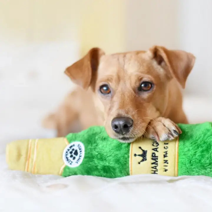 Jouet croustillant pour chien bouteille d’eau ZippyPaws