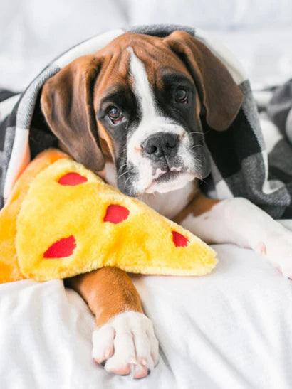 Peluche pour chien en forme de tranche de pizza 🍕 de Zippy Paws – Jouet avec squeaker pour stimuler votre chien pendant le jeu et les siestes.