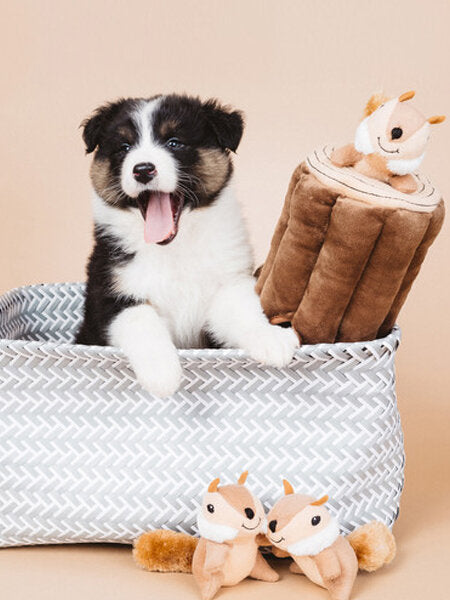 Jouet de fouille pour chien bûche écureuils ZippyPaws – DOG DéliCAT