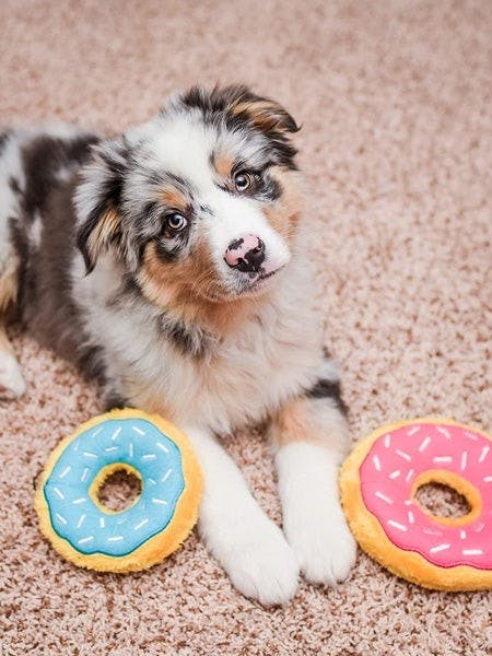 Peluche pour chien Donut à la fraise (strawberry)