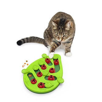 Cat Buggin'out