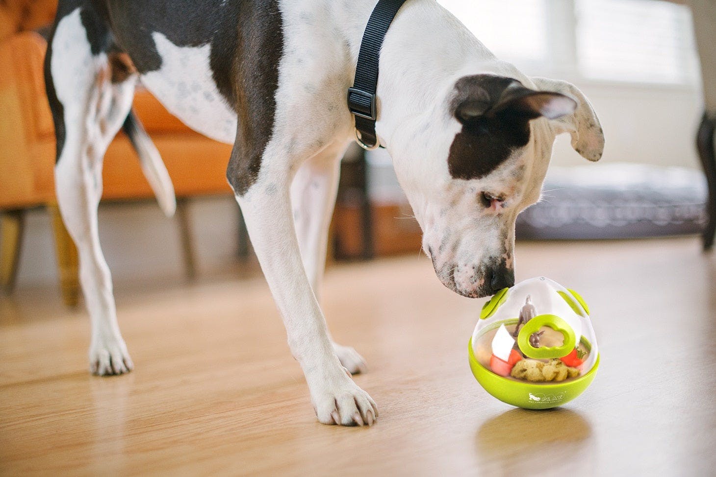 Jouet pour Chiens distributeur de friandises Wobble Ball chez DOG DELICAT