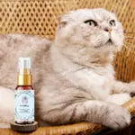 Gelée oeil de lynx