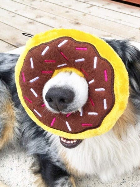 Donut Géant  au chocolat